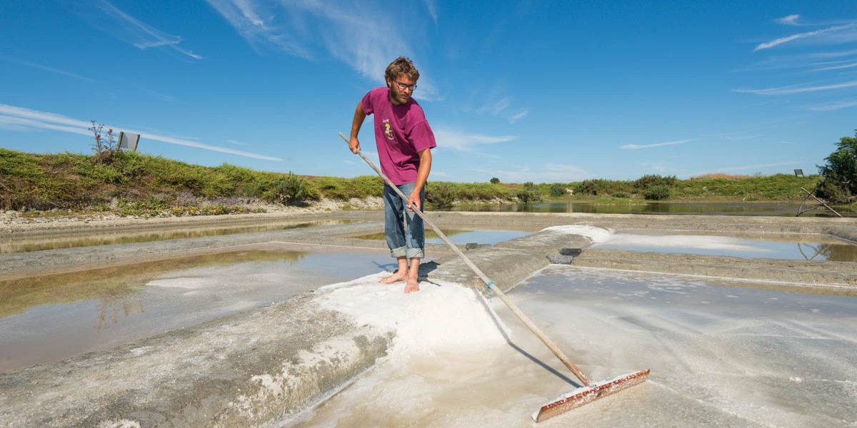 Marais salants saint hilaire de riez